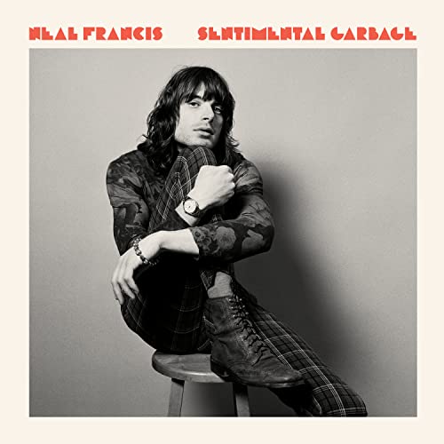 Sentimental Garbage [VINYL] [Vinyl LP] von Ato Records