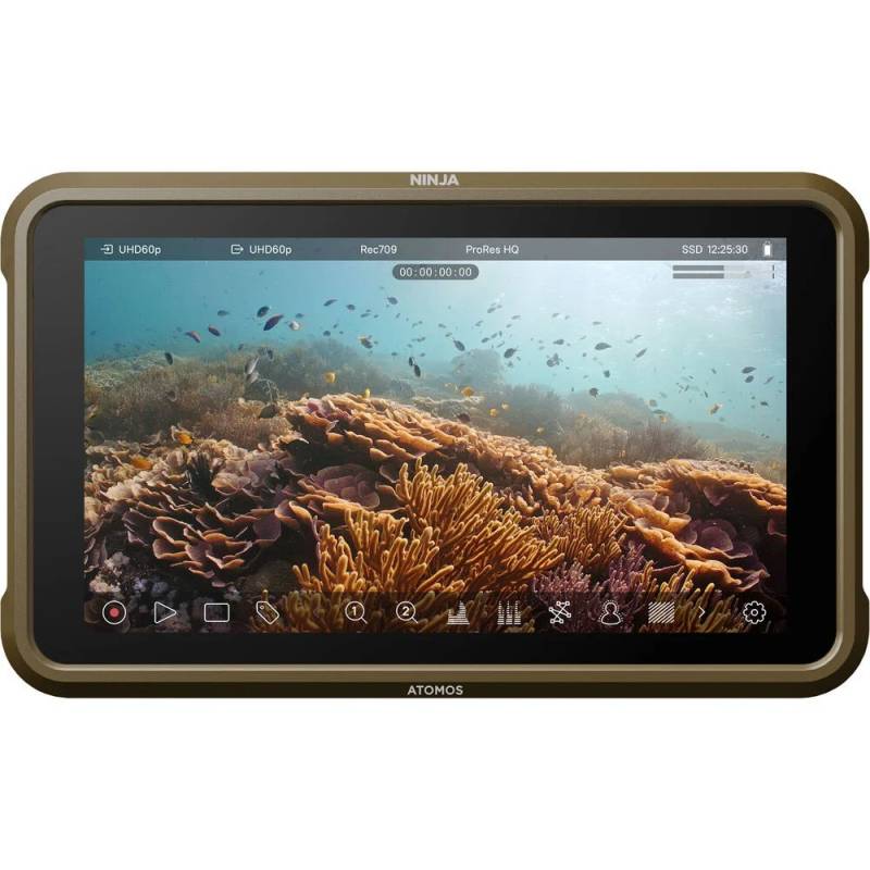 Atomos Ninja External Monitor/Recorder for Mirrorless Cameras von Atomos
