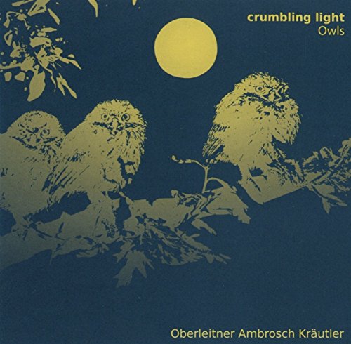 Crumbling Light von Ats-Records (Medienvertrieb Heinzelmann)