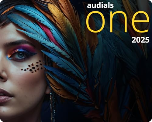 Audials One 2025 - Streaming-Rekorder & Konverter für Musik, Video, Radio, Podcast | One | 1 Gerät | 1 Benutzer | PC Aktivierungscode per Email von Audials