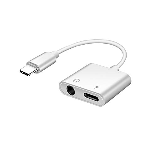 B53 USB C zu 3.5mm Klinke Adapter 2 in 1 USB Typ C auf Audio AUX Adapter für Kopfhörer USB 3.1 Type C Stecker auf 3,5mm Buchse + Type C Buchse Audio von Aukson