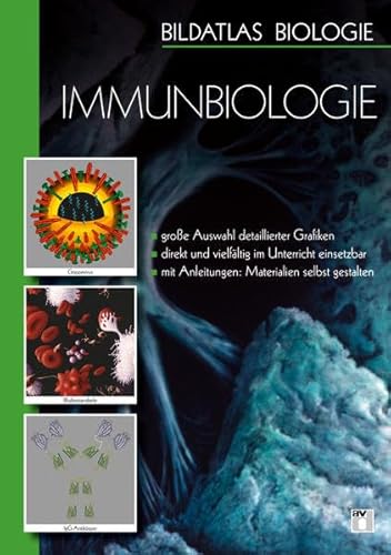 Bildatlas Biologie / DVD 5 Immunbiologie: DVD 1 - 6 / - große Auswahl detaillierter Grafiken - direkt und vielfältig im Unterricht einsetzbar - mit Anleitungen: Materialien selbst gestalten Bildatlas Biologie / DVD 5 Immunbiologie: DVD 1 - 6 / - große Auswahl detaillierter Grafiken - direkt und vielfältig im Unterricht einsetzbar - mit Anleitungen: Materialien selbst gestalten von Aulis Verlag in Friedrich Verlag GmbH