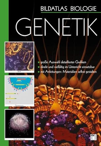 Bildatlas Biologie / DVD 2 - Genetik: DVD 1 - 6 von Aulis Verlag