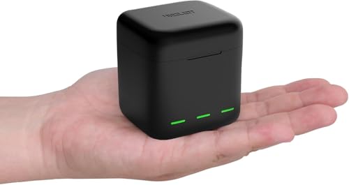 Akku-Ladegerät für Go Pro Hero 13 Black, Triple Slot USB-Ladekoffer mit Type-C Kabel Akkus Tragetasche voll kompatibel mit Original Go Pro 13 Zubehör von AuyKoo