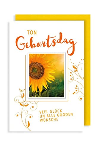 Plattdeutsch Grußkarte Karte Geburtstag To´n Geburtsdag Sonnenblume 11x17cm von AvanCarte