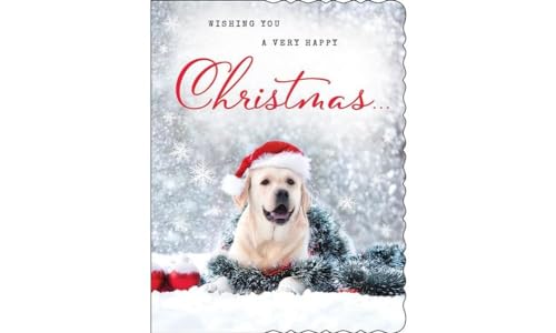 Avant Garde Studios Piccadilly Greetings Weihnachtskarte, Hund, 20,3 x 15,2 cm von Avant Garde Studios