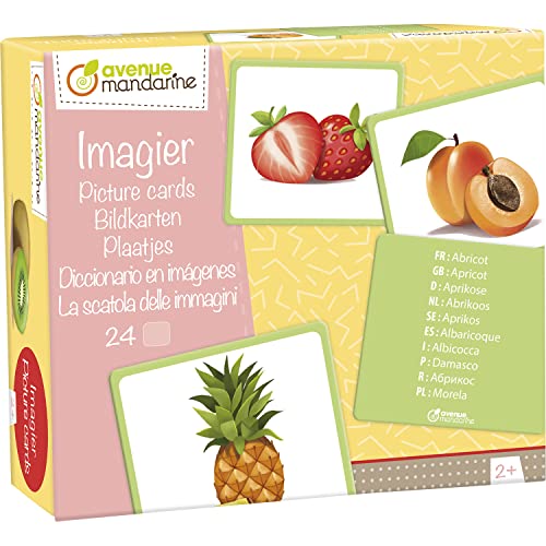 Avenue Mandarine JE509C Packung mit 24 Bildkarten, ideal für Kinder ab 2 Jahren, mehrsprachig, 12 Paaren, 1 Pack, Früchte von Avenue Mandarine