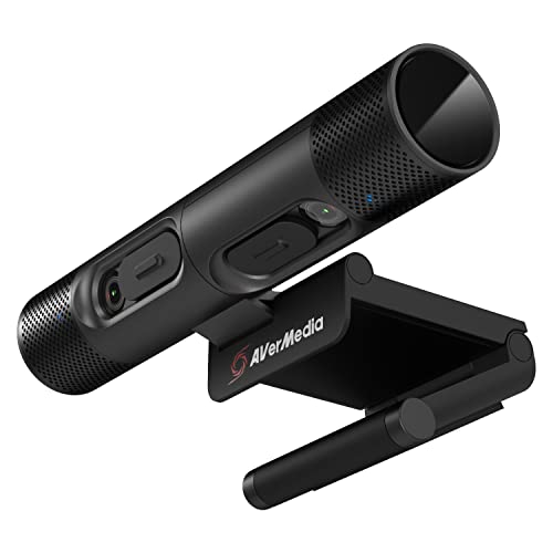 AverMedia PW313D Webcam Autofokus mit 2K30fps und integrierten Full HD 1080p Kameras für PC-Videokonferenzen, funktioniert mit Zoom, Teams, Skype von AverMedia