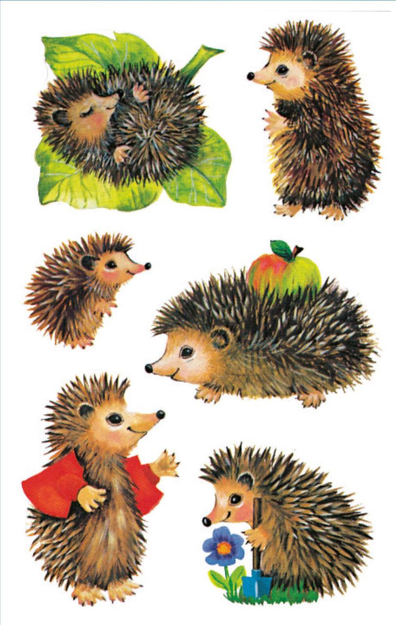 AVERY Zweckform Aufkleber Igel AVERY Zweckform Aufkleber Igel von Avery Zweckform