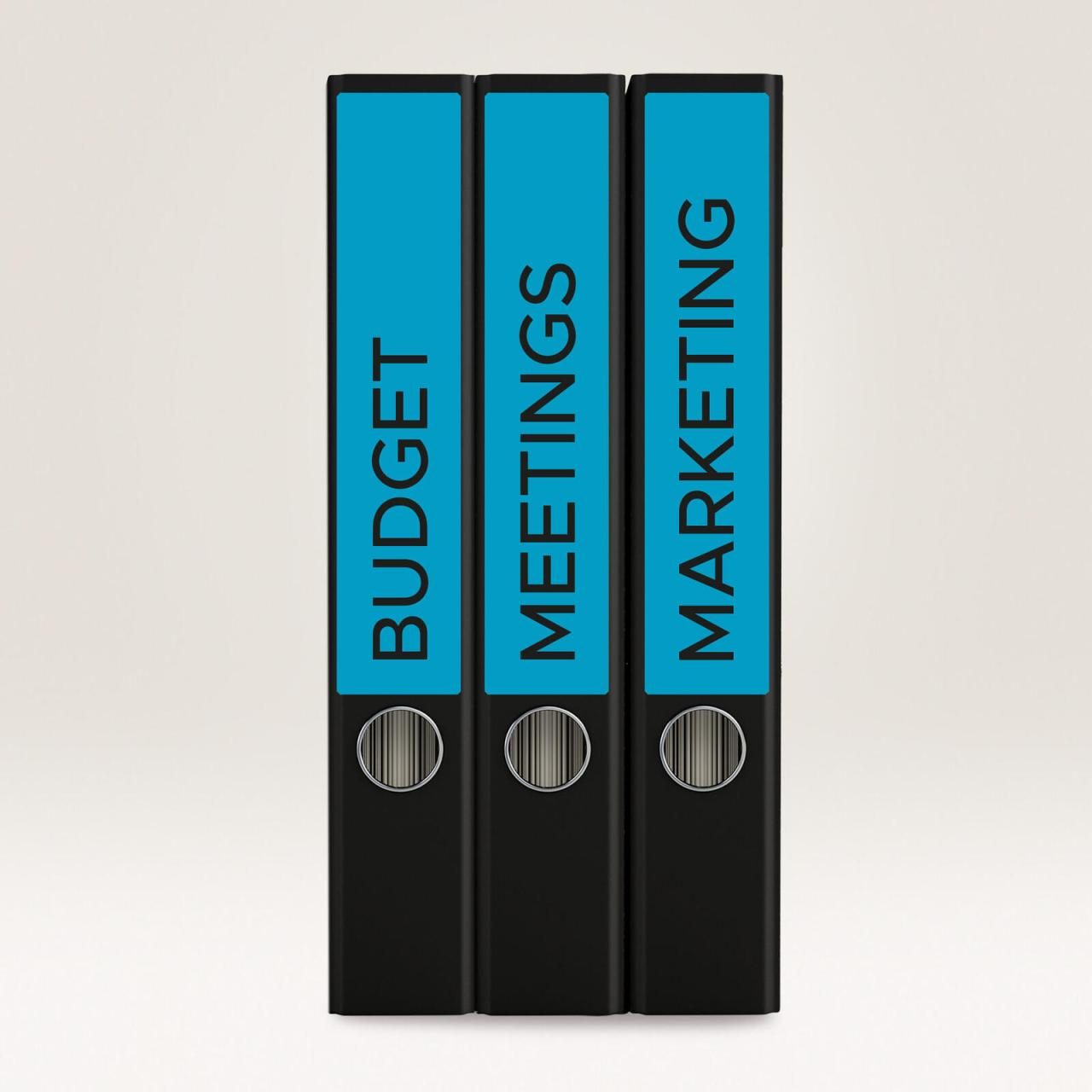 AVERY Zweckform Ordneretiketten 38,0 x 192,0 mm blau von Avery Zweckform