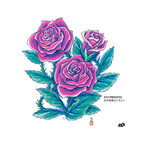 Kimi wa Barayori Utukushii [Vinyl LP] von Avex