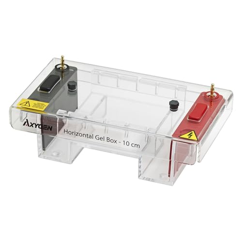 Axygen Horizontales Gelbox, 10cm x 10cm und 10cm x 12cm Schalen von Axygen