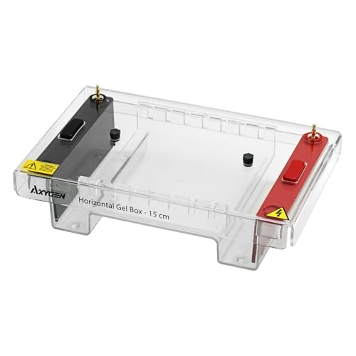 Axygen Horizontales Gelbox, 15cm x 10cm und 15cm x 15cm Schalen von Axygen
