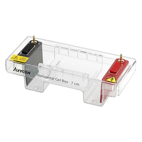 Axygen Horizontales Gelbox, 7cm x 7cm und 7cm x 10cm Schalen von Axygen