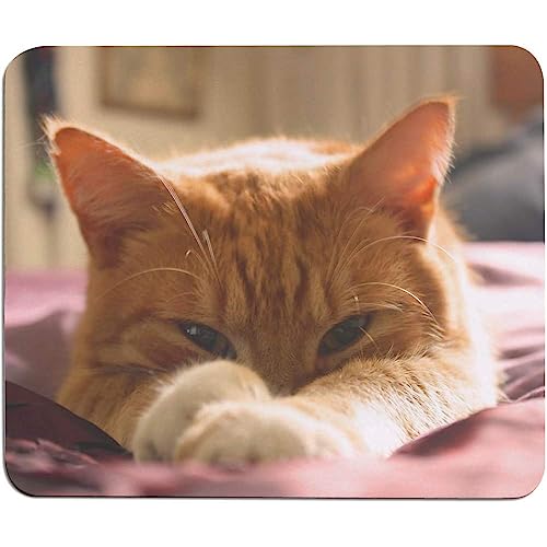 'Ingwer-Tom-Katze' Maus Matte/Schreibtisch Pad (MO00006183) von Azeeda