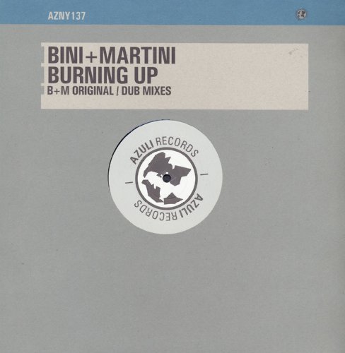 Burnin' Up [Vinyl Single] von Azuli