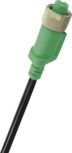 B + B Thermo-Technik 0409 1051 0409 1051 Anschlusskabel von B + B Thermo-Technik