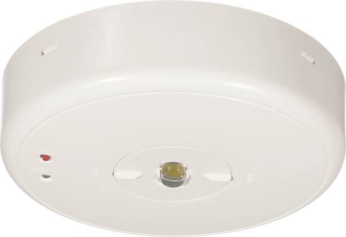 B-SAFETY BL550038 Sicherheitsleuchte Deckenaufbaumontage B-SAFETY BL550038 Sicherheitsleuchte Deckenaufbaumontage von B-SAFETY