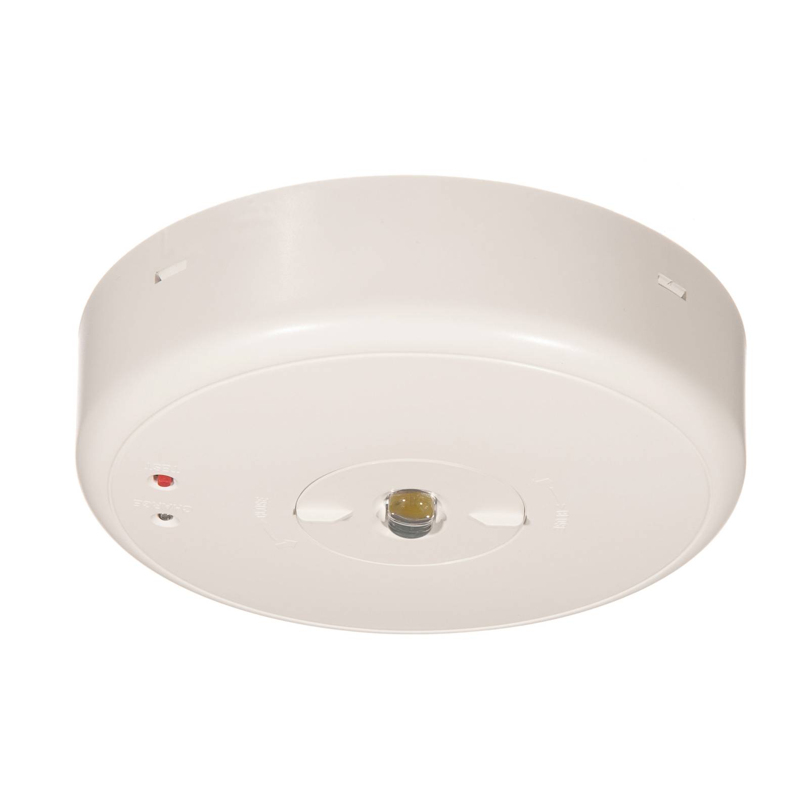 LED-Sicherheitsleuchte S-LUX Standard Deckenaufbau LED-Sicherheitsleuchte S-LUX Standard Deckenaufbau von B-Safety