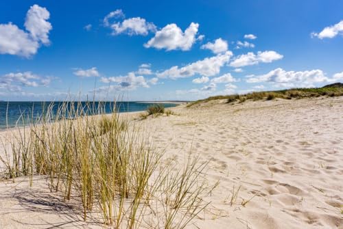 Magnettafel Pinnwand XXL Magnetbild Sand Strand Düne Meer Größe 60 x 40 cm von B-wie-Bilder