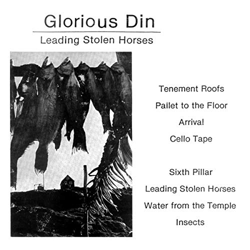 Leading Stolen Horses [Vinyl LP] von B.F.E. RECORDS