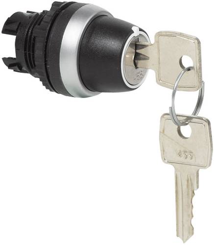 BACO 223961 L21ND00 Schlüsselschalter Frontring Kunststoff, verchromt Schwarz, Chrom 2 x 45° 1St. von BACO