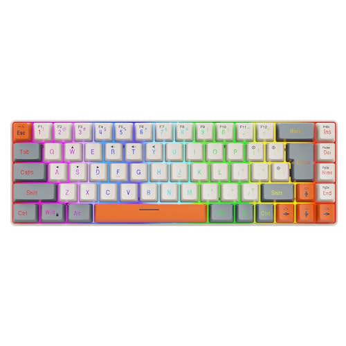 BAHJKASD Ergonomische Tastatur Mit ARGB Hintergrundbeleuchtung 68-Tasten Tastatur Mit Abnehmbarer Tastenleiste Kompatibel Mit Mehreren Systemen von BAHJKASD