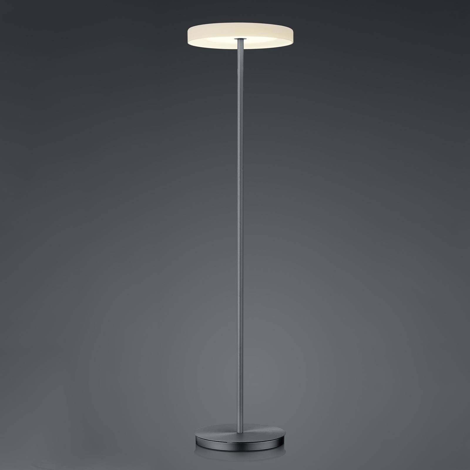 BANKAMP Button LED-Stehlampe mit Dimmer, anthrazit von BANKAMP