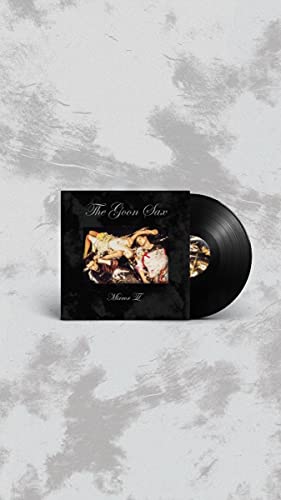 Mirror II [Vinyl LP] von Matador