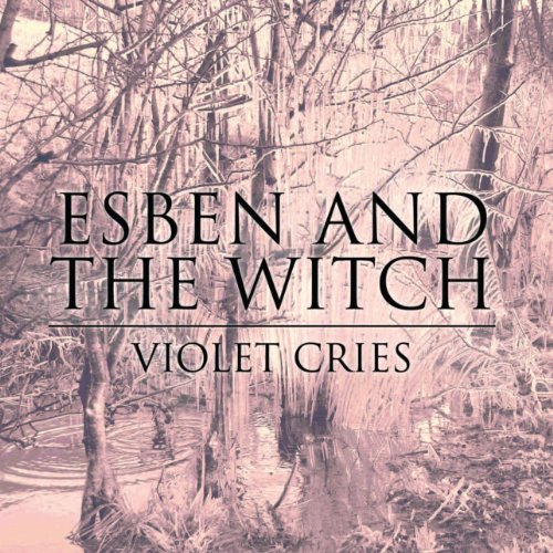 Violet Cries [Vinyl LP] von Matador Records