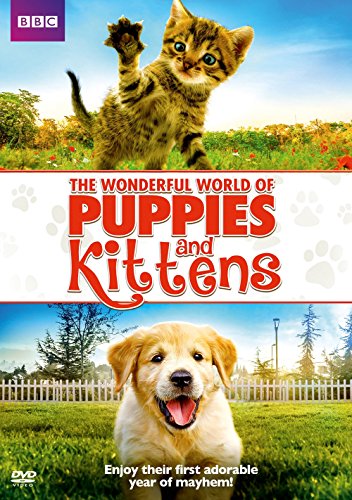 WONDERFUL WORLD OF PUPPIES & KITTENS - WONDERFUL WORLD OF PUPPIES & KITTENS (1 DVD) von BBC