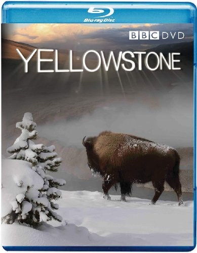 Yellowstone [Blu-ray] von BBC