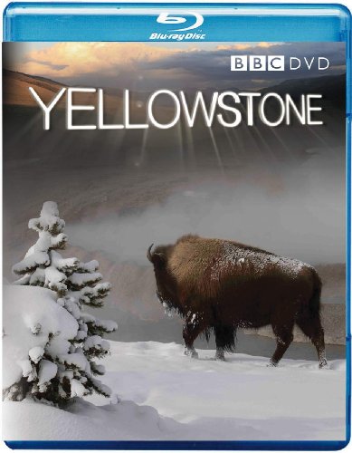 Yellowstone [Blu-ray] von 2 entertain