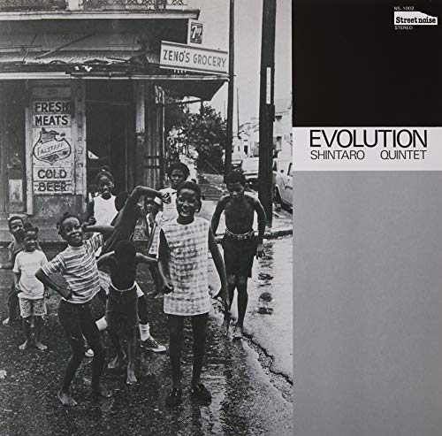 Evolution [Vinyl LP] von BBE