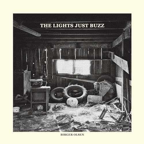 The Lights Just Buzz [Vinyl LP] von BCD
