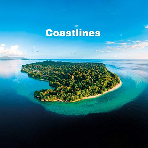 Coastlines [Vinyl LP] von BE WITH RECORDS