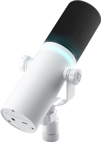 BEACN Light Dynamic USB-Mikrofon für PC | Professionelles Mikrofon für Podcast, Gaming, Streaming | Studioqualität Schreibtischmikrofon für YouTube, Twitch und Aufnahmen von BEACN