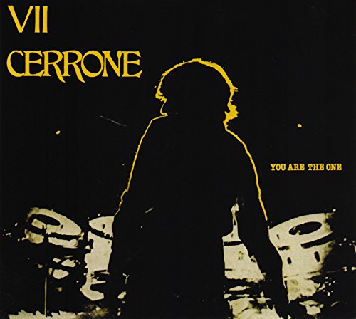 Cerrone VII-You Are the One [Vinyl LP] von BECAUSE MUSIC
