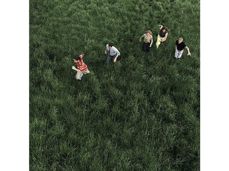 Parcels - Loved (Vinyl) von BECAUSE MUSIC