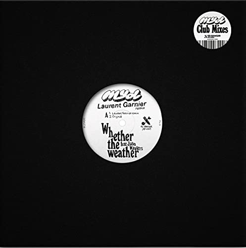 Whether the Weather Remixes [Vinyl Maxi-Single] von BECAUSE MUSIC