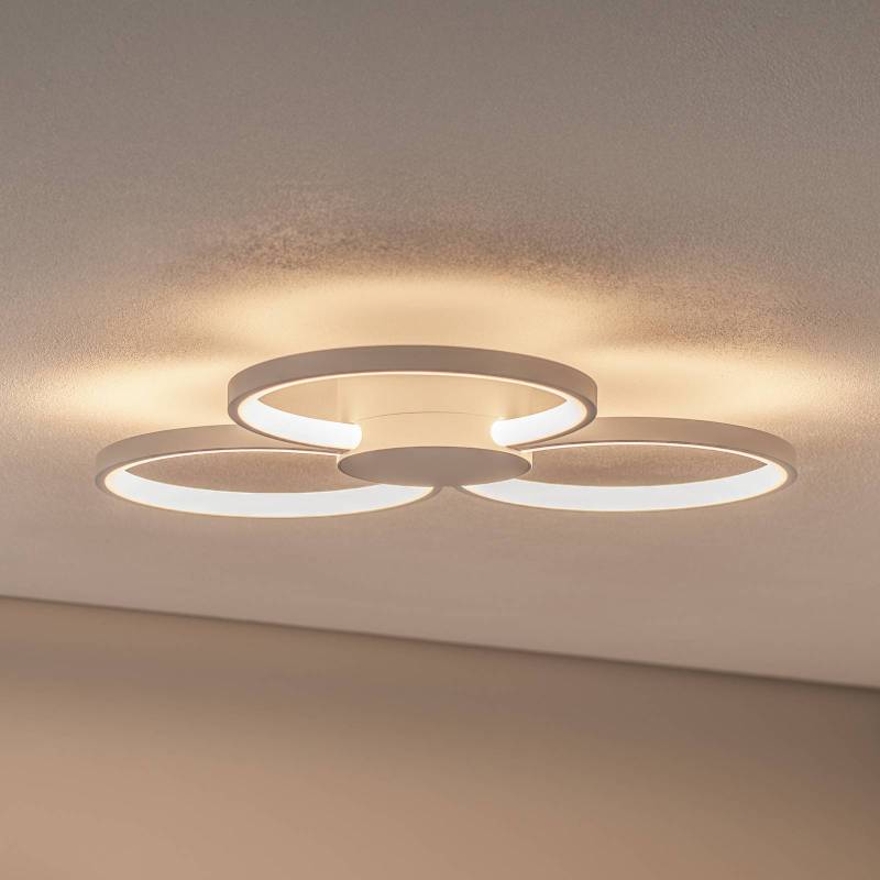BEGA LED-Deckenleuchte 51299.1, samtweiß, Metall, DALI von BEGA