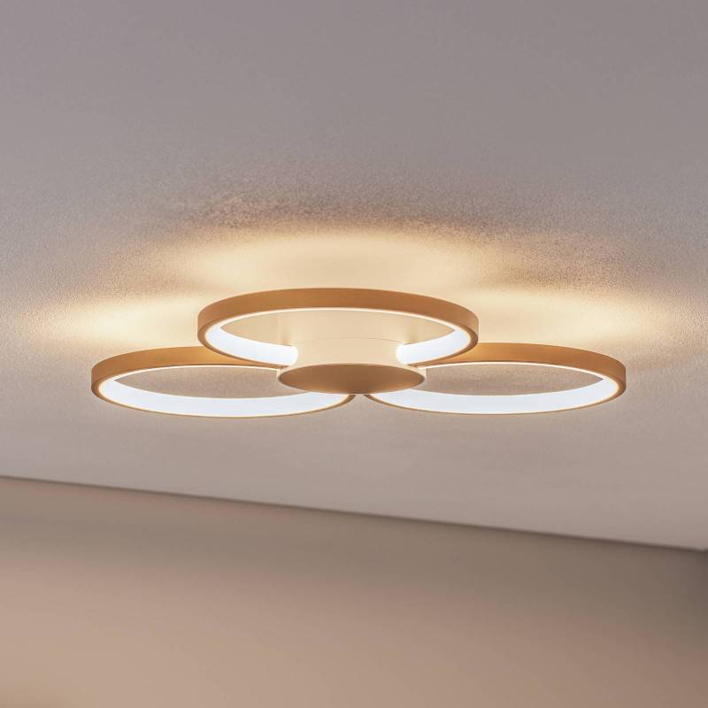 BEGA LED-Deckenleuchte 51299.4, samtmessing, Metall, DALI von BEGA