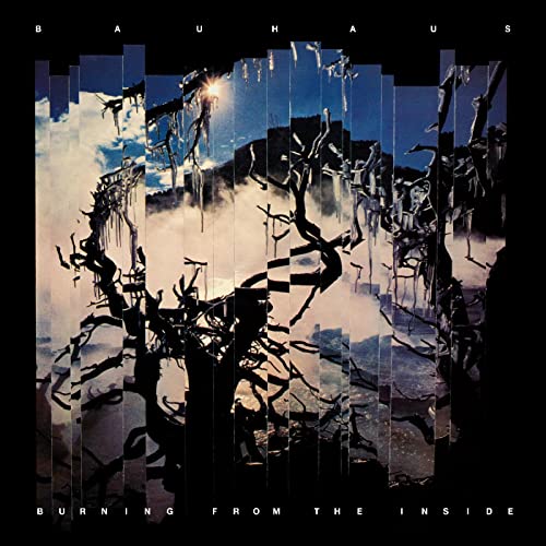 Burning From The Inside [Vinyl LP] von BEGGARS BANQUET