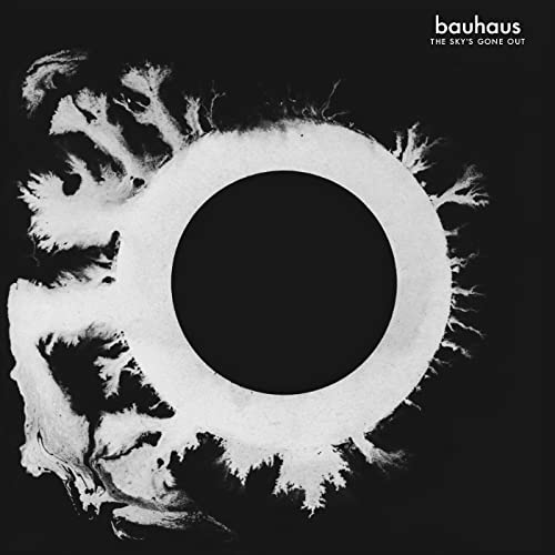 The Sky's Gone Out [Vinyl LP] von BEGGARS BANQUET