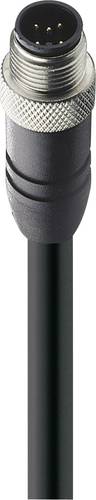 Belden 10970-1 Sensor-/Aktor-Datensteckverbinder, konfektioniert M12 Stecker, gerade 3.00m Polzahl: Belden 10970-1 Sensor-/Aktor-Datensteckverbinder, konfektioniert M12 Stecker, gerade 3.00m Polzahl: von BELDEN