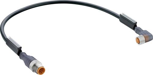 Belden 11750-1 Sensor-/Aktor-Steckverbinder, konfektioniert M12 Stecker, gerade, Buchse, gewinkelt 0 von BELDEN