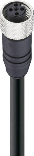 Belden 15735-1 Sensor-/Aktor-Datensteckverbinder, konfektioniert M12 Buchse, gerade 2.00m Polzahl: 5 Belden 15735-1 Sensor-/Aktor-Datensteckverbinder, konfektioniert M12 Buchse, gerade 2.00m Polzahl: 5 von BELDEN