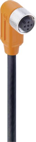 Belden 934703022 Sensor-/Aktor-Steckverbinder, konfektioniert M12 Buchse, gewinkelt 2.00m Polzahl: 5 Belden 934703022 Sensor-/Aktor-Steckverbinder, konfektioniert M12 Buchse, gewinkelt 2.00m Polzahl: 5 von BELDEN