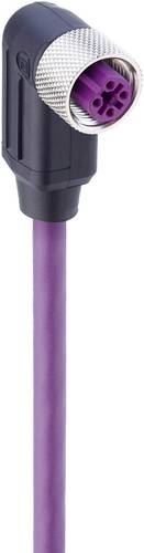 Belden 934728001-10 Sensor-/Aktor-Datensteckverbinder, konfektioniert M12 Buchse, gewinkelt 2.00m Po Belden 934728001-10 Sensor-/Aktor-Datensteckverbinder, konfektioniert M12 Buchse, gewinkelt 2.00m Po von BELDEN