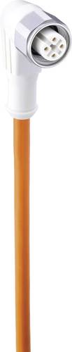 Belden 934734001-10 Sensor-/Aktor-Steckverbinder, konfektioniert M12 Buchse, gewinkelt 2.00m Polzahl von BELDEN